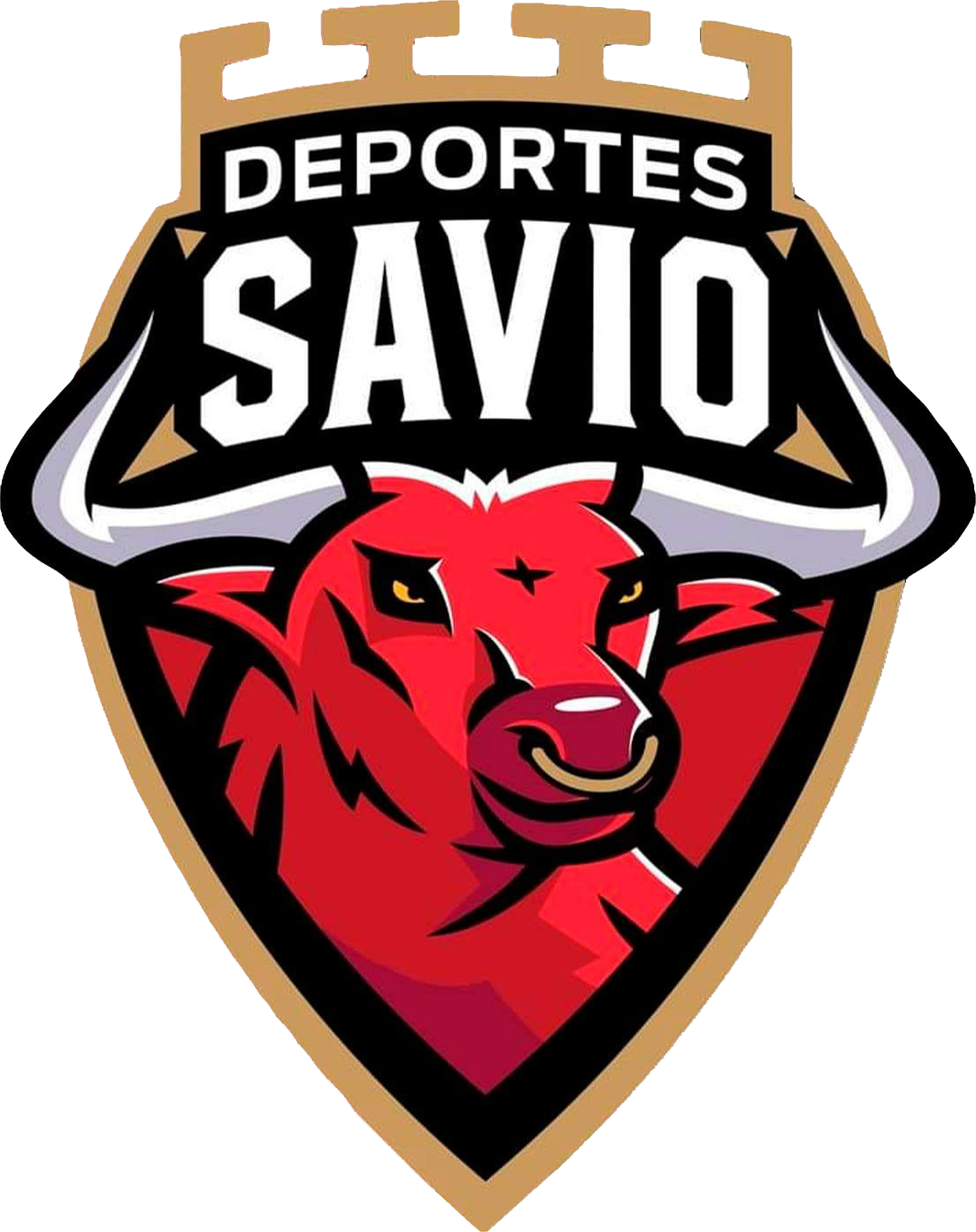 Deportes Savio